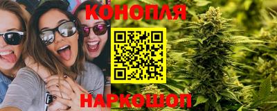 крисы Балашиха