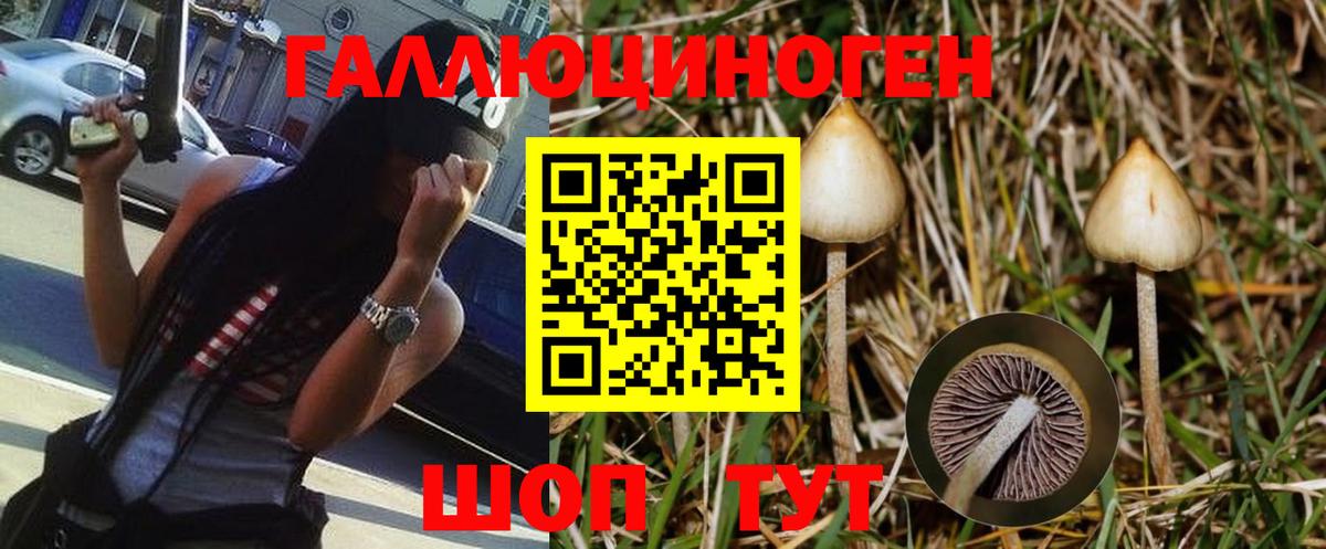 Галлюциногенные грибы MAGIC MUSHROOMS  Вход с VPN  Псилоцибиновые грибы ЛСД  Джанкой 